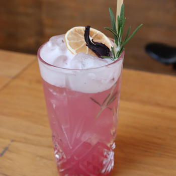 Hibiscus Fizz