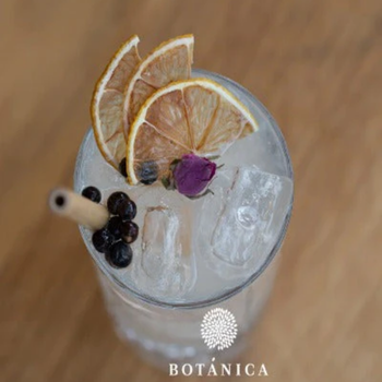 Spice up je Gin-Tonic met Botanicals