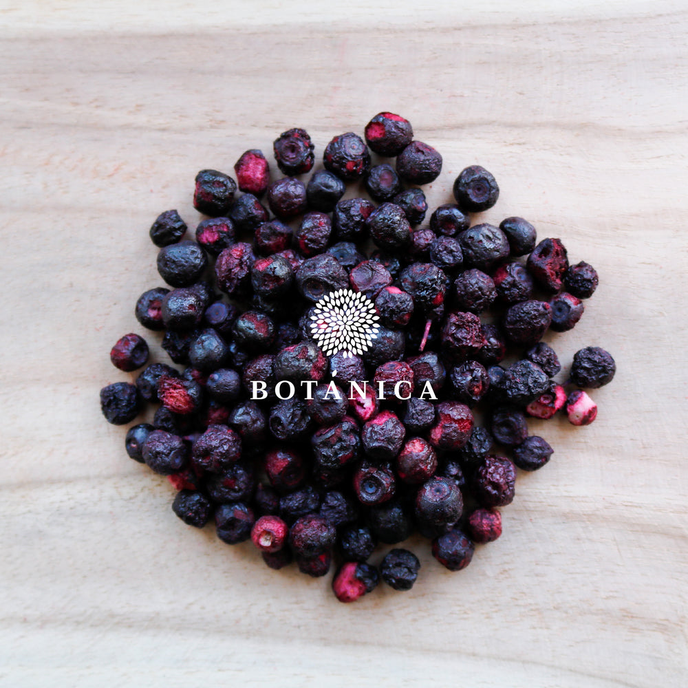 Botanica Wild Blueberry Freeze Dried Whole 60g