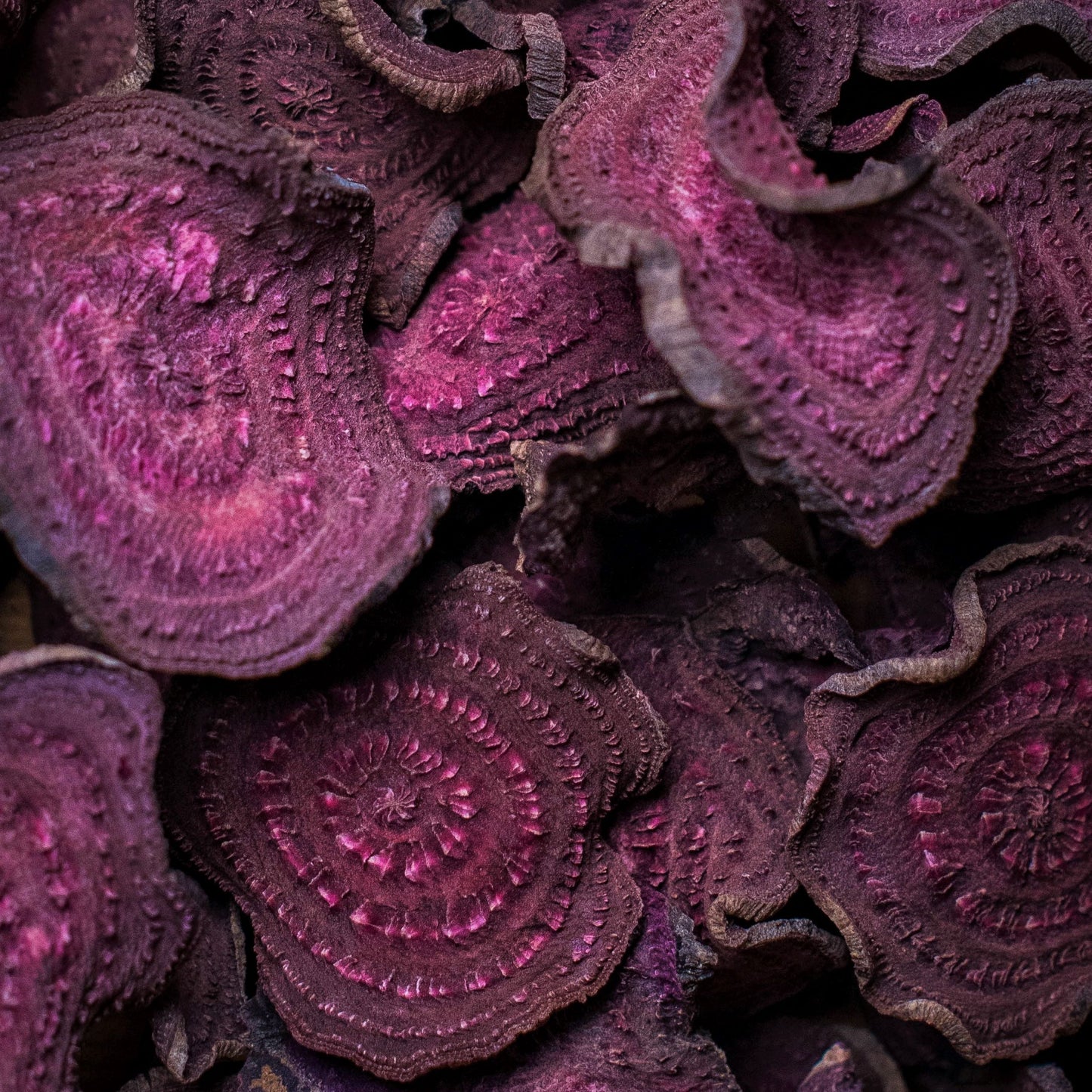 
                  
                    Dehydrated beetroot
                  
                